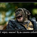 ���� �������, ������ - ��������� 12 ���� 2015 � ������ ������ ��������