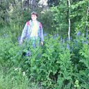 ���� �������, ������������ - ��������� 29 ������� 2015 � ������ ���� ����������