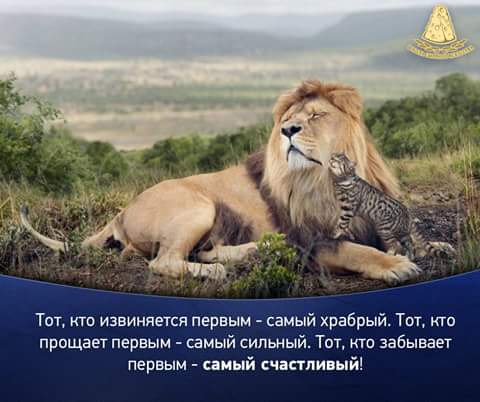 , , . - 24  2015  05:28