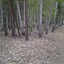 ���� Alexandr, ������, 75 ��� - ��������� 4 �������� 2015 � ������ ���� ����������