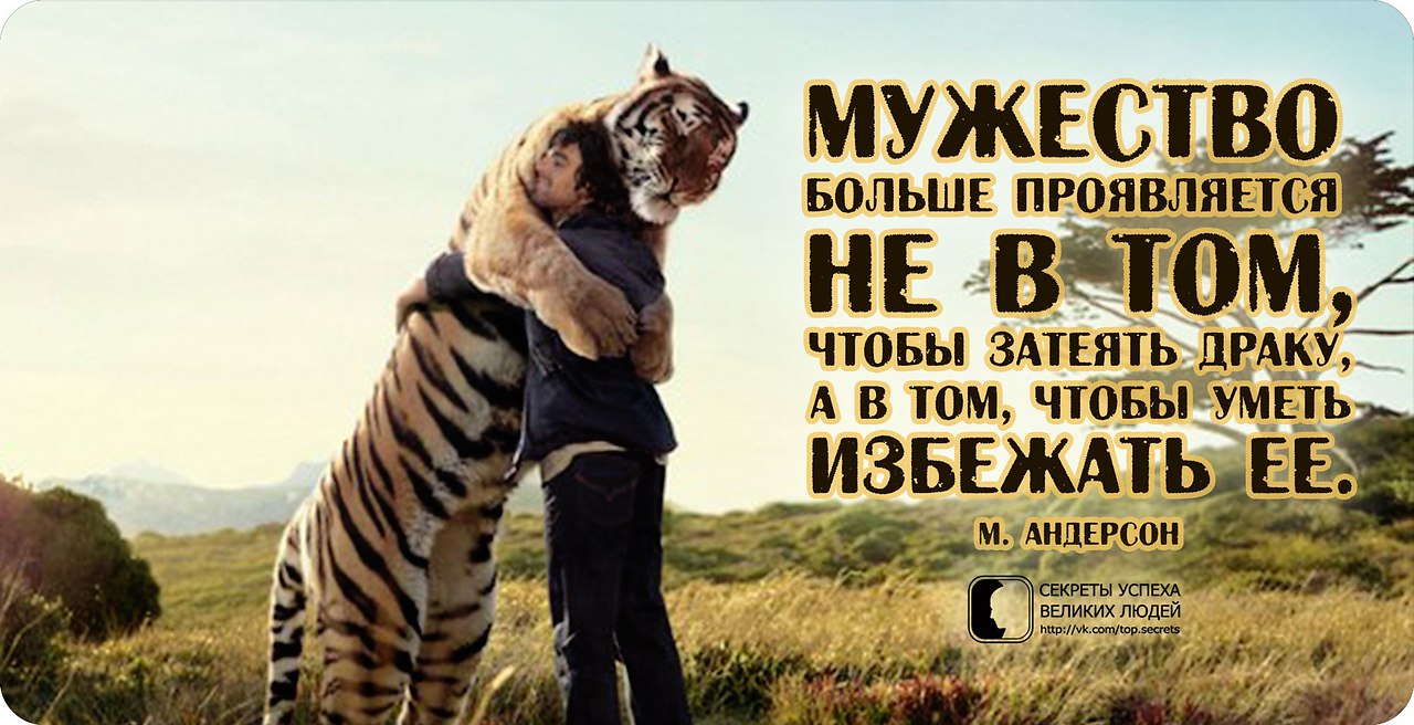 ������� ������ ������� ����� - 22 ������ 2015 � 20:05