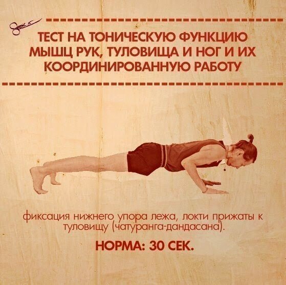 В вашей практике помимо упражнений на вытяжение должны обязательно присутствовать и силовые асаны. - 7