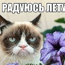 ���� ���������, ������ - ��������� 17 ���� 2015 � ������ ���� ����������