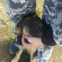 ���� �������, �������, 33 ���� - ��������� 20 ������� 2015 � ������ ���� ����������