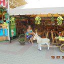 ���� ���������, �������, 65 ��� - ��������� 18 �������� 2015 � ������ ���� ����������