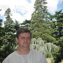 ���� ����, �������, 56 ��� - ��������� 30 ��� 2015