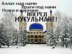 Земля под нами вперед мусульмане. Вперед мусульмане. Аллах над нами земля под нами ножи. Аллах с нами ножи в кармане вперед мусульмане. Ножи в кармане вперед мусульмане.