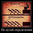 ���� �����, ������ - ��������� 30 ������� 2015 � ������ ������
