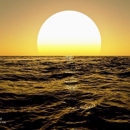 ���� Warrior, ���� - ��������� 12 ��� 2015