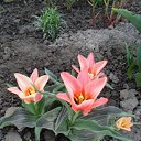 ���� ���������, ����� - ��������� 10 ��� 2015 � ������ ���� ��������� ������