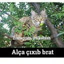 ���� Vafiq, ����, 48 ��� - ��������� 12 ��� 2015 � ������ ������ ��������