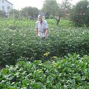 � �� ���������� ����� - �������... �� ������� ���� ����������