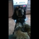 ���� Alex, ������, 50 ��� - ��������� 11 �������� 2015