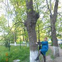 ���� ���, �����, 39 ��� - ��������� 30 ������� 2015 � ������ ���� ����������