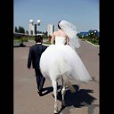 ���� N, ���������, 68 ��� - ��������� 24 ���� 2015 � ������ ������ ��������