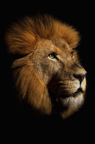  - 24  2015  17:27 - 2