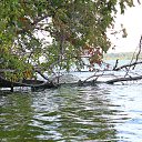 ���� ��������, ���������, 48 ��� - ��������� 13 �������� 2015 � ������ ������ ��������