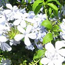 ���� ���������, �����������, 69 ��� - ��������� 19 ������� 2015 � ������ ������������