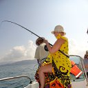 ���� ����, ��������, 50 ��� - ��������� 6 ���� 2015 � ������ ���� ����������