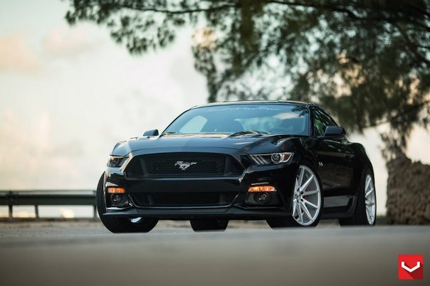 Ford Mustang GT 5.0 - 7