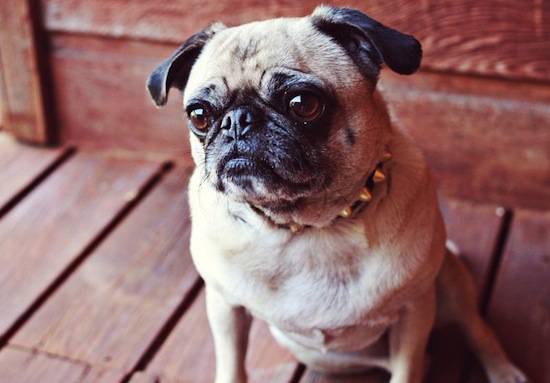 ������� �������� � ������ ���� ���������� � ������� ������ ��� ������ ��������� ����� �� ������. ...