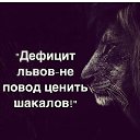 ���� ��������, �����������, 40 ��� - ��������� 23 �������� 2015 � ������ ������ ��������