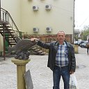 ���� ��������, ����������� - ��������� 7 �������� 2015 � ������ ���� ����������