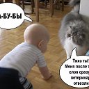 ���� �����, �����, 48 ��� - ��������� 27 ������� 2015 � ������ �15�