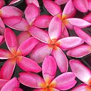 .   .    2014.   .  10-.