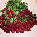 ���� �����, ���������� - ��������� 26 ��� 2015 � ������ ���� ����������