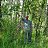 ���� Viktor, �����-��������� - ��������� 8 ������� 2015