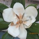 ���� �����, ������ - ��������� 13 ������� 2015 � ������ ���� ����������