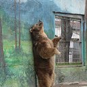 ���� ������, ������-��-����, 51 ��� - ��������� 7 ��� 2015 � ������ ���� ����������