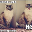 ���� ������, ����� - ��������� 18 ��� 2015 � ������ ������ ��������