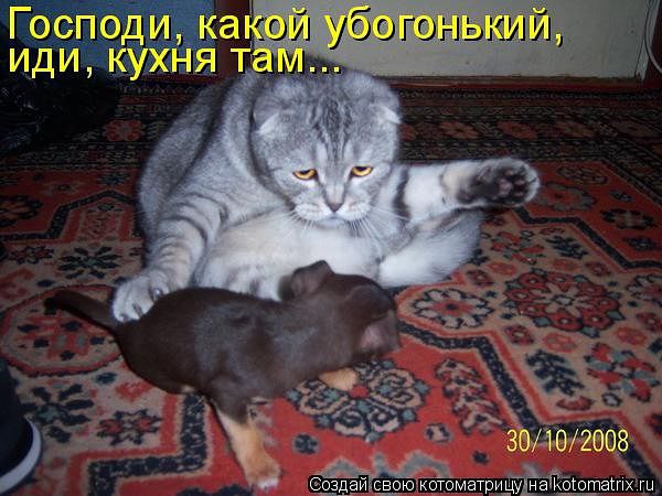 )))