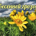 ���� ����, ������, 66 ��� - ��������� 6 ��� 2015 � ������ �������� ��������