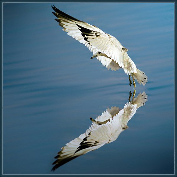 � ���� ��� ����. � �����, � �������. �� � ��� �� �����, ������ �� �����. ���� ������� �� �����. ���� ...