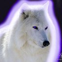 ���� �������, �����-��������� - ��������� 21 �������� 2015