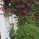 ���� ����, �������, 68 ��� - ��������� 18 ������� 2015 � ������ �������