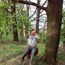 ���� ���, �����, 42 ���� - ��������� 20 ��� 2015 � ������ ������ ��������