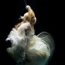 ���� �����, ������ - ��������� 25 ������ 2015 � ������ ������ ��������