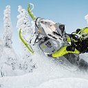 ���� ������, ������ - ��������� 14 ��� 2015 � ������ ���� ����������