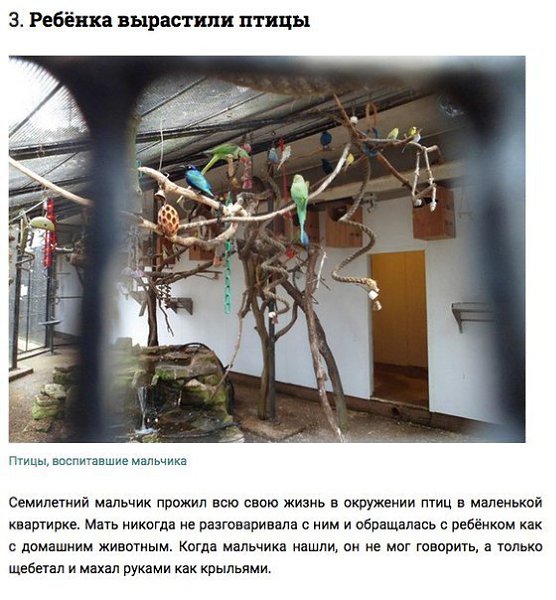 Дети, о которых заботились животные.Все мы знаем и помним захватывающие рассказы о Маугли и Тарзане, ... - 3