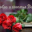  Alexandr, , 63  -  17  2015    