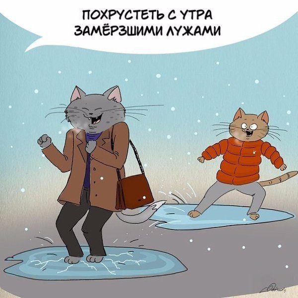    ,    - 10