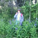 ���� �������, ������������ - ��������� 29 ������� 2015 � ������ ���� ����������