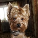  ,  , 48  -  12  2015    