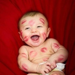 ���� Vendetta, ������ - ��������� 5 ��� 2015