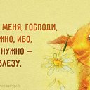 ���� ����, �����, 49 ��� - ��������� 21 �������� 2015 � ������ ������ ��������