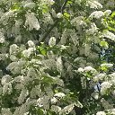 ���� ������, ���������, 45 ��� - ��������� 30 ���� 2015 � ������ ��������